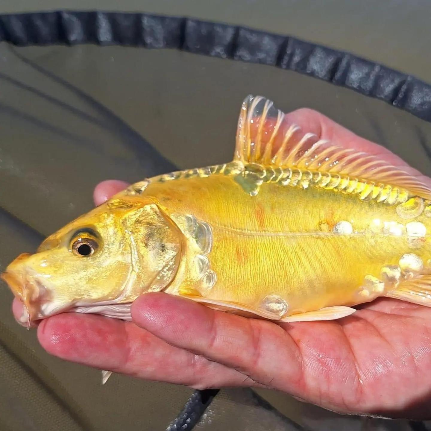 Lakeside Fishing Retreats Boston Quarto foto