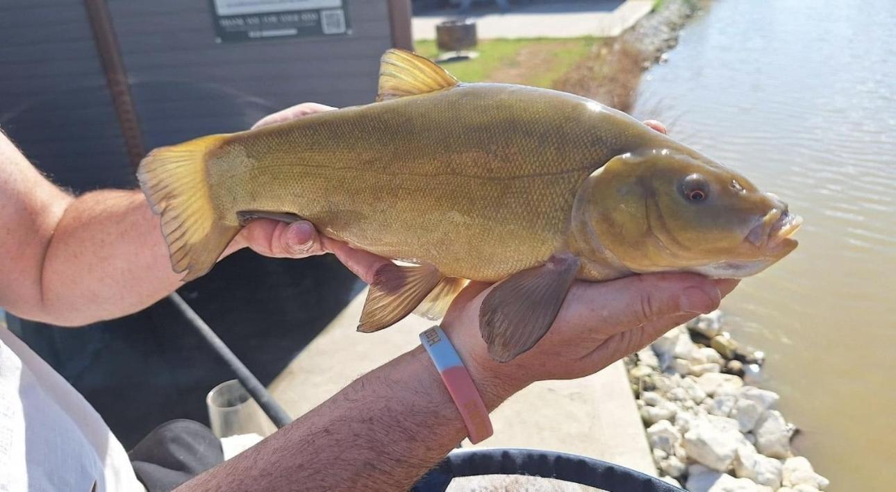 Lakeside Fishing Retreats Boston Quarto foto