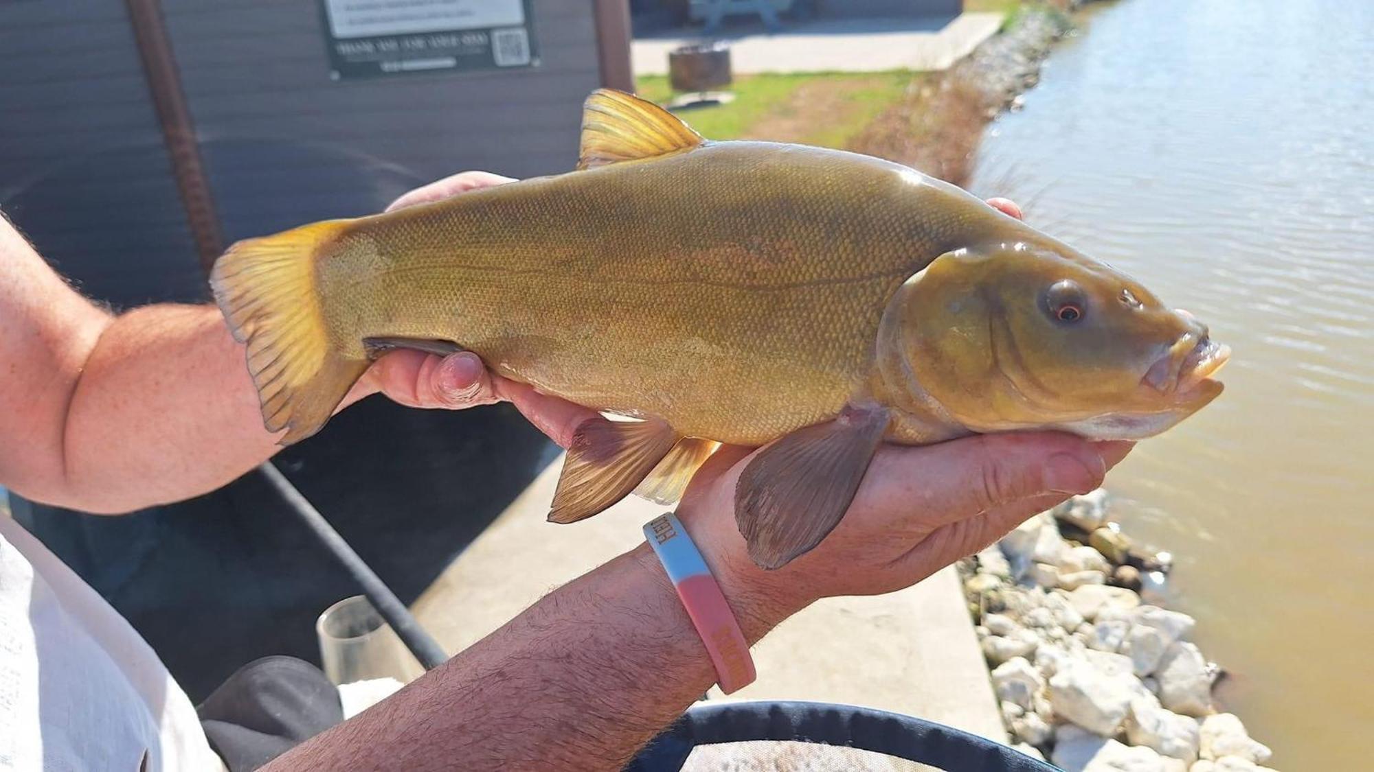 Lakeside Fishing Retreats Boston Quarto foto