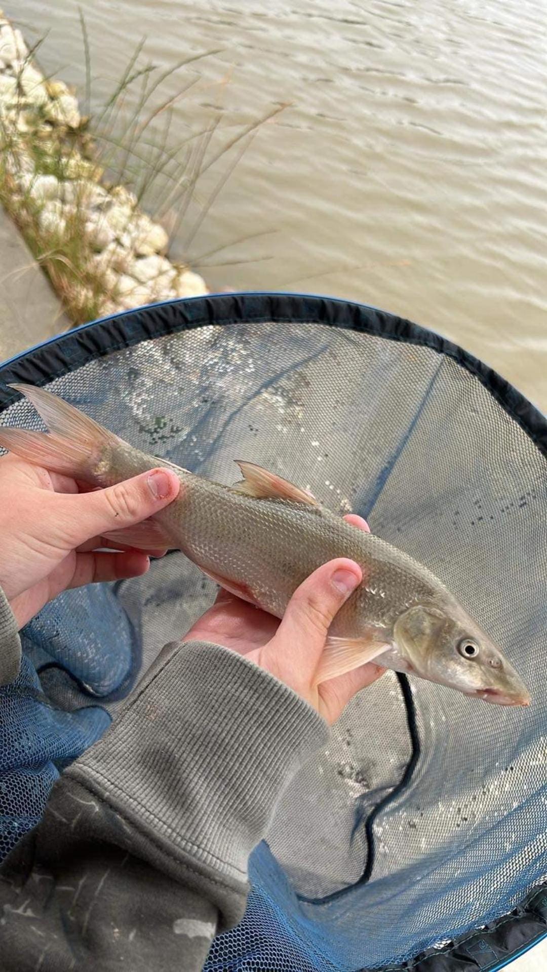 Lakeside Fishing Retreats Boston Quarto foto