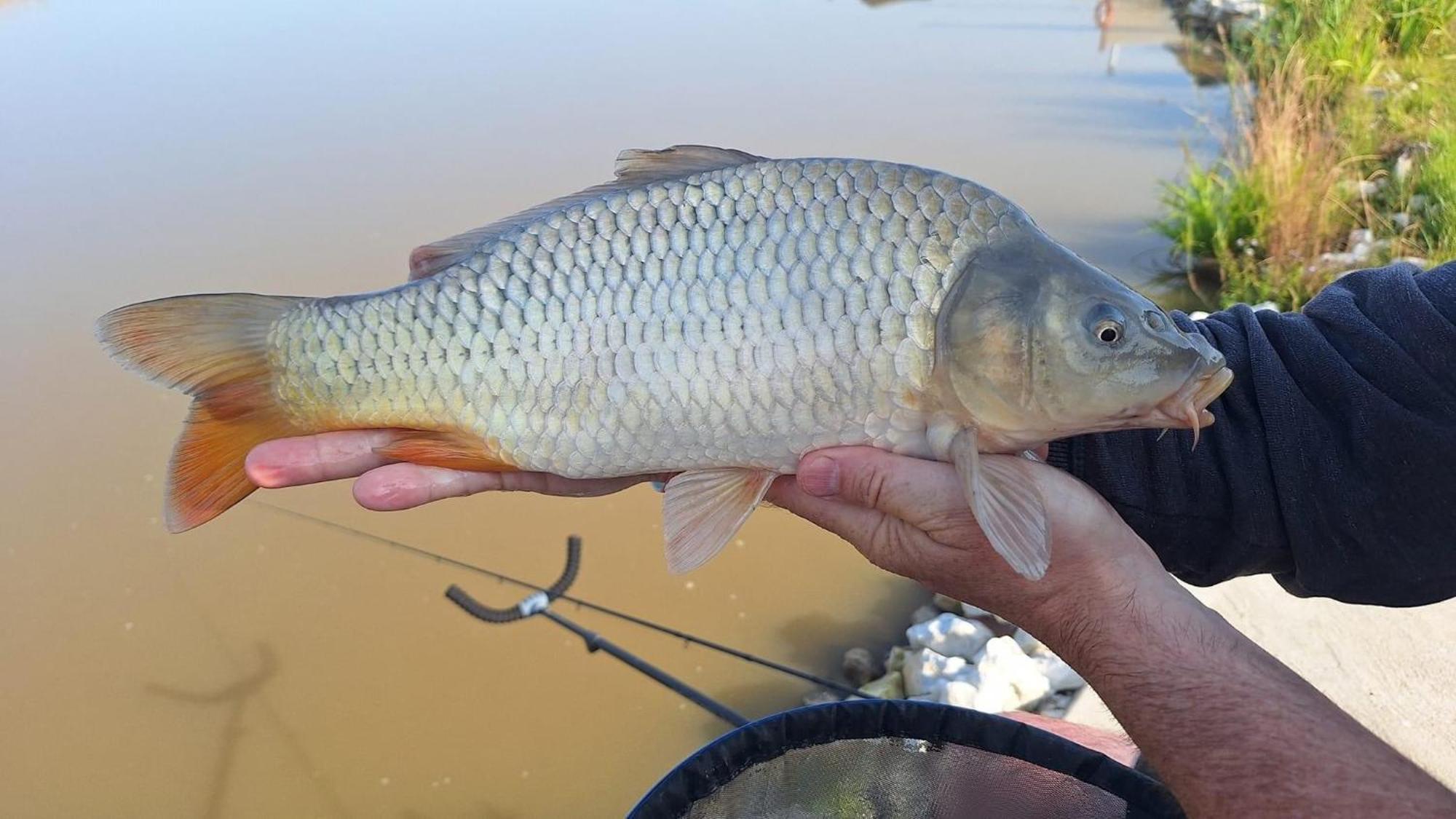 Lakeside Fishing Retreats Boston Quarto foto