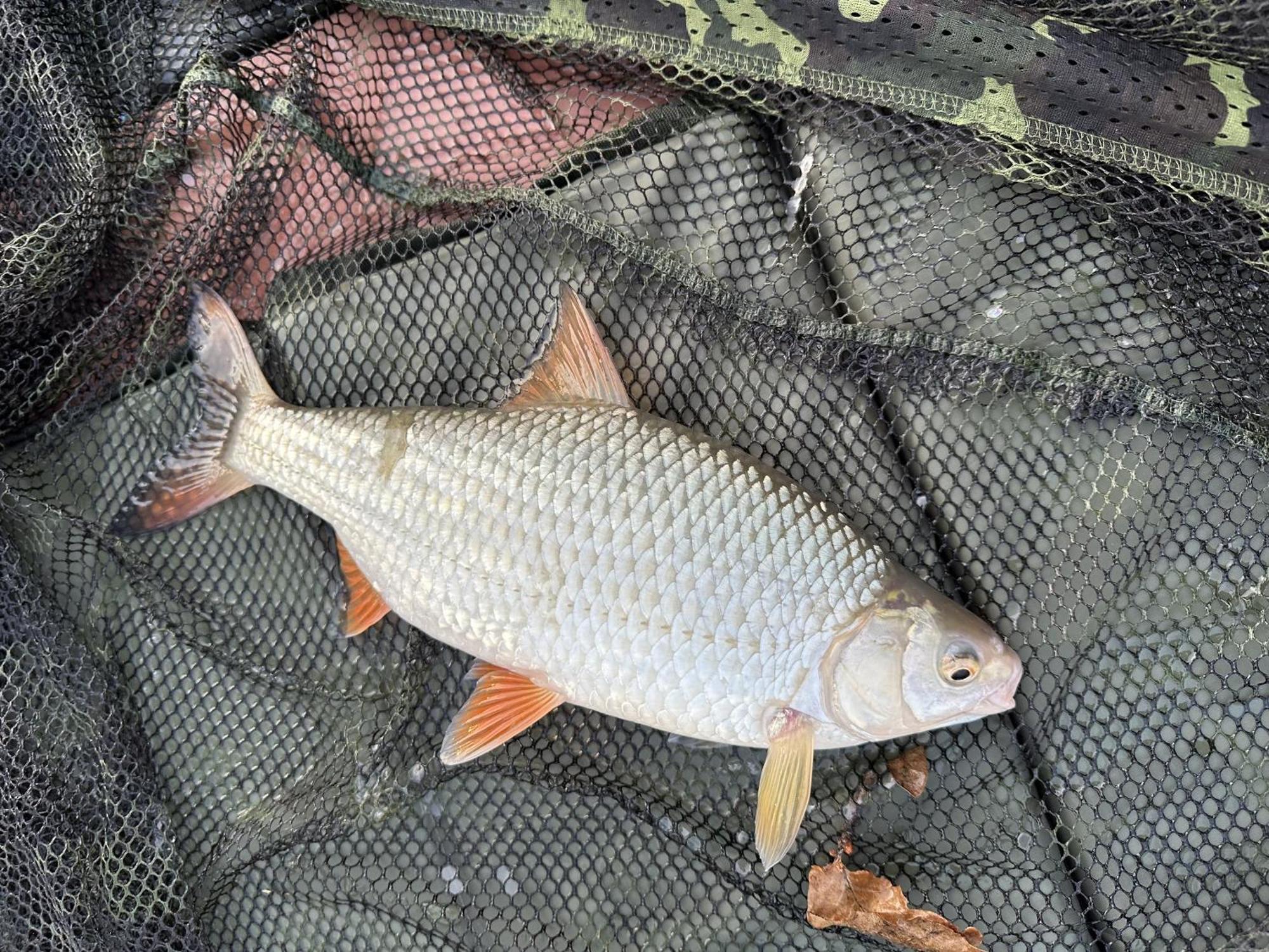 Lakeside Fishing Retreats Boston Quarto foto